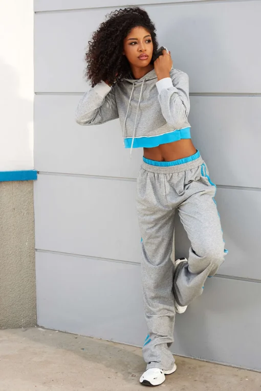 MICAS Outerwear|Outerwear-Color Block Hooded Jacket LIGHT GRAY