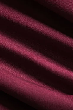 MICAS Long Sleeve Tops|Long Sleeves Tops-Ruched Backless Tie Back Long-Sleeve Shirt BURGUNDY